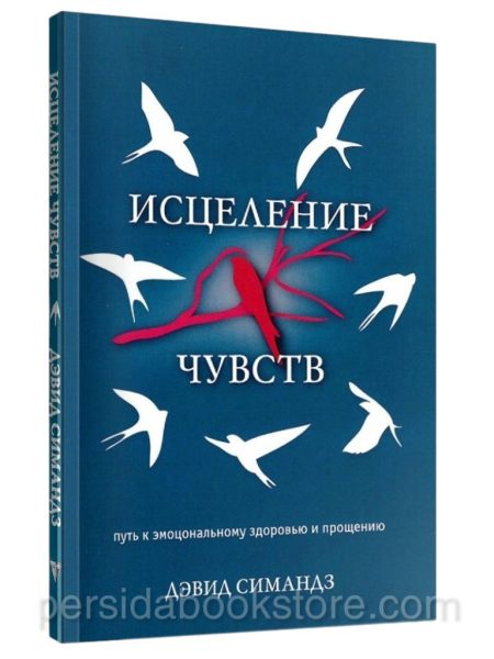 Исцеление чувств. Дэвид Симандз