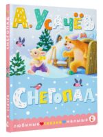 Снегопад. Усачев А.