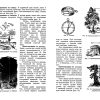 Физическая география. Учебник для 5 класса (1958). Иосиф Заславский - Image 8