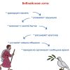 Библейское лото по книге Бытие - Image 11