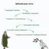 Библейское лото по книге Исход - Image 9