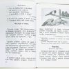 Родная речь. 1 класс. Книга для чтения в начальной школе (1954). Соловьева Е. Е. - Image 12