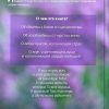 Добрый день, Господи! Книга о радостной вере. Архимандрит Андрей (Конанос) - Image 2
