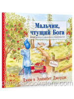 Мальчик чтущий Бога. Вечные ценности и добродетели из Книги Притчей. Э. Джордж