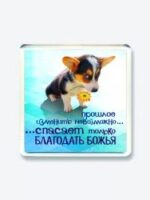 Прошлое изменить невозможно... Спасает Божья благодать